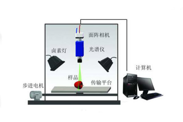 高光譜成像系統的結構示意圖