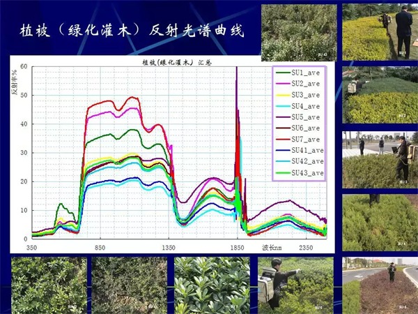 高光譜遙感技術-林業