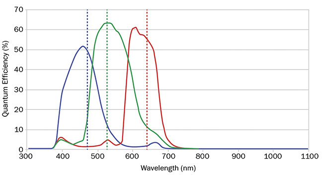 圖 3. RGB 相機的量子效率曲線顯示了紅色、綠色和藍色之間的重疊。 由愛特蒙特光學公司提供。