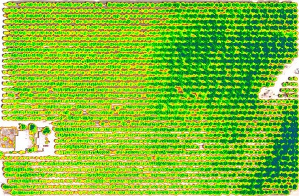 光譜成像技術在精準農業