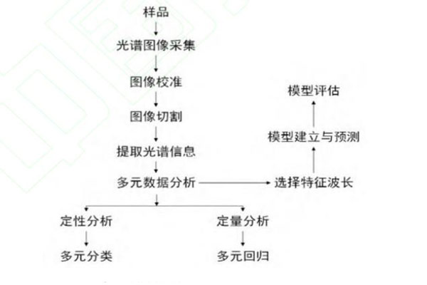 高光譜成像技術定性定量判別流程0717