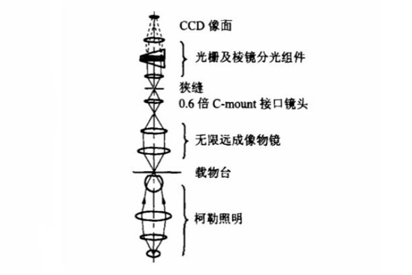 顯微高光譜成像系統光路原理圖