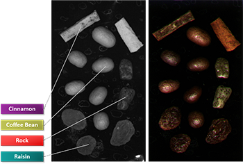 Teledyne Imaging 等短波紅外相機可以幫助檢測食品分選應用中的水分。