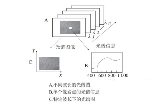 高光譜譜圖01