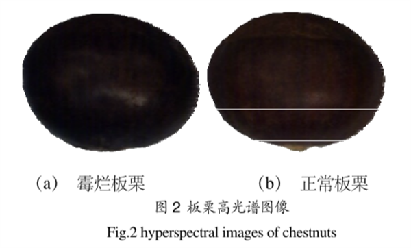 高光譜成像儀在霉?fàn)€板栗檢測中的應(yīng)用