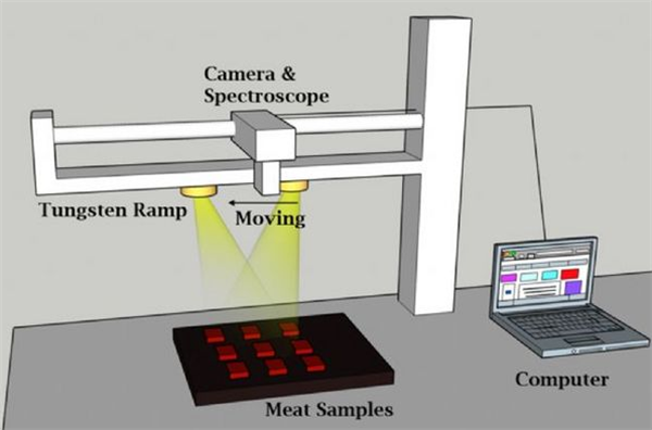 高光譜成像儀在牛肉分類中的應用2