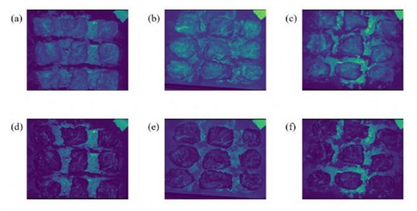 高光譜成像儀在牛肉分類中的應用3