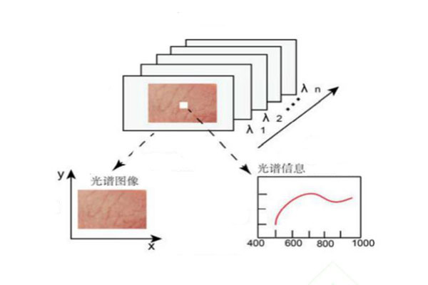 高光譜數據