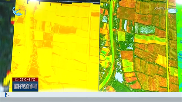 廈門：AI+高光譜 繪就農業新畫卷4