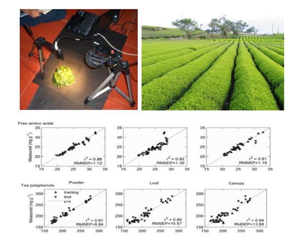 近紅外光譜技術在茶葉上的應用現狀