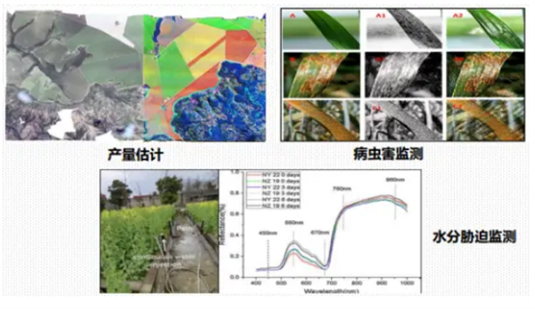 高光譜成像技術行業應用 (1)