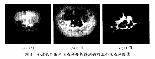 高光譜成像技術(shù)檢測柑橘果銹4