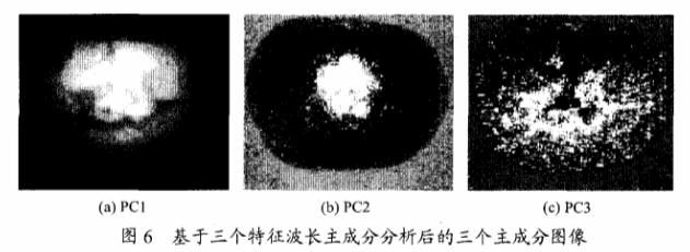 高光譜成像技術(shù)檢測柑橘果銹6