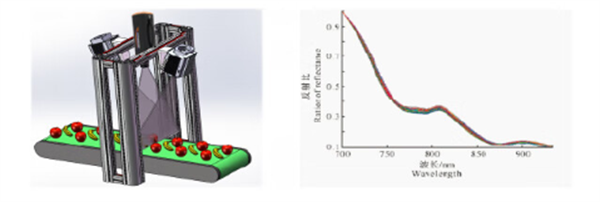 近紅外光譜分析技術食品檢測2