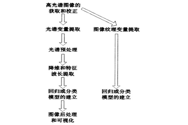 高光譜圖像數據分析技術路線圖